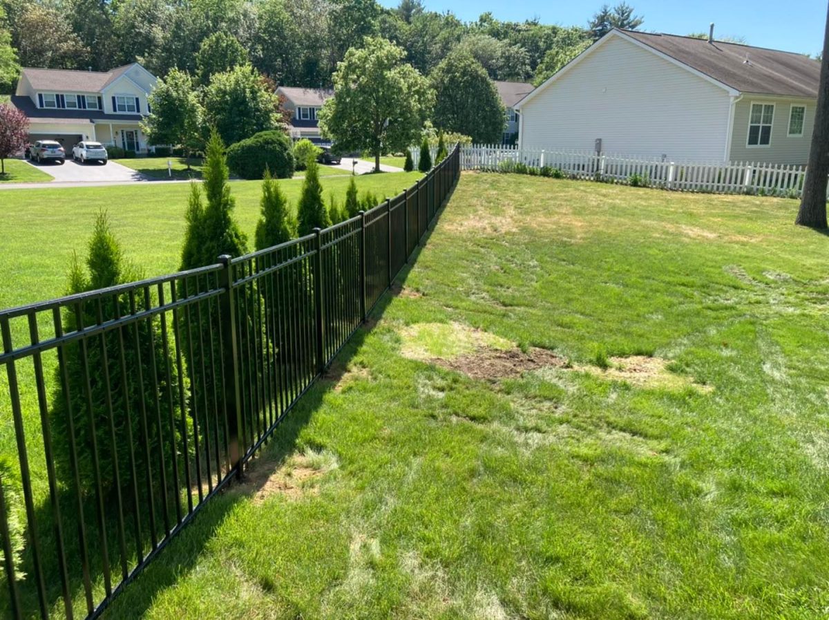 Ornamental Aluminum Fence - Backyard Fence